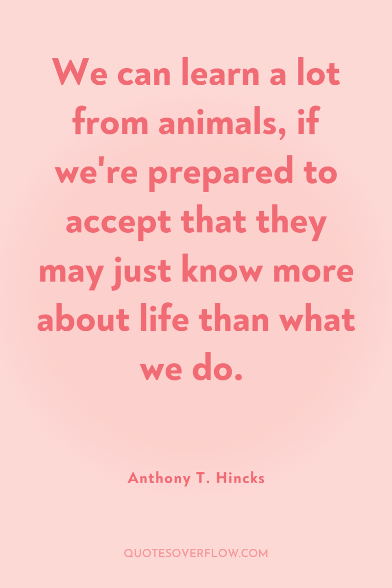We can learn a lot from animals, if we're prepared...