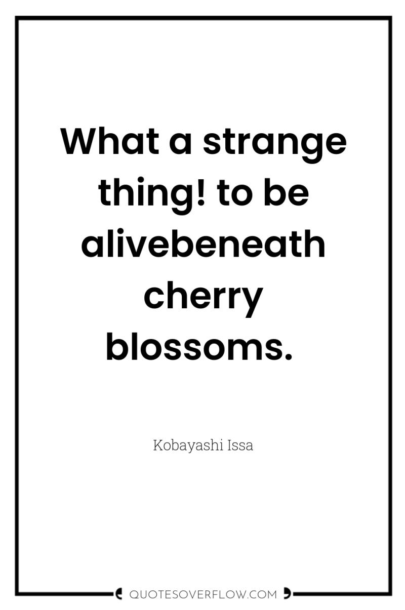 What a strange thing! to be alivebeneath cherry blossoms. 