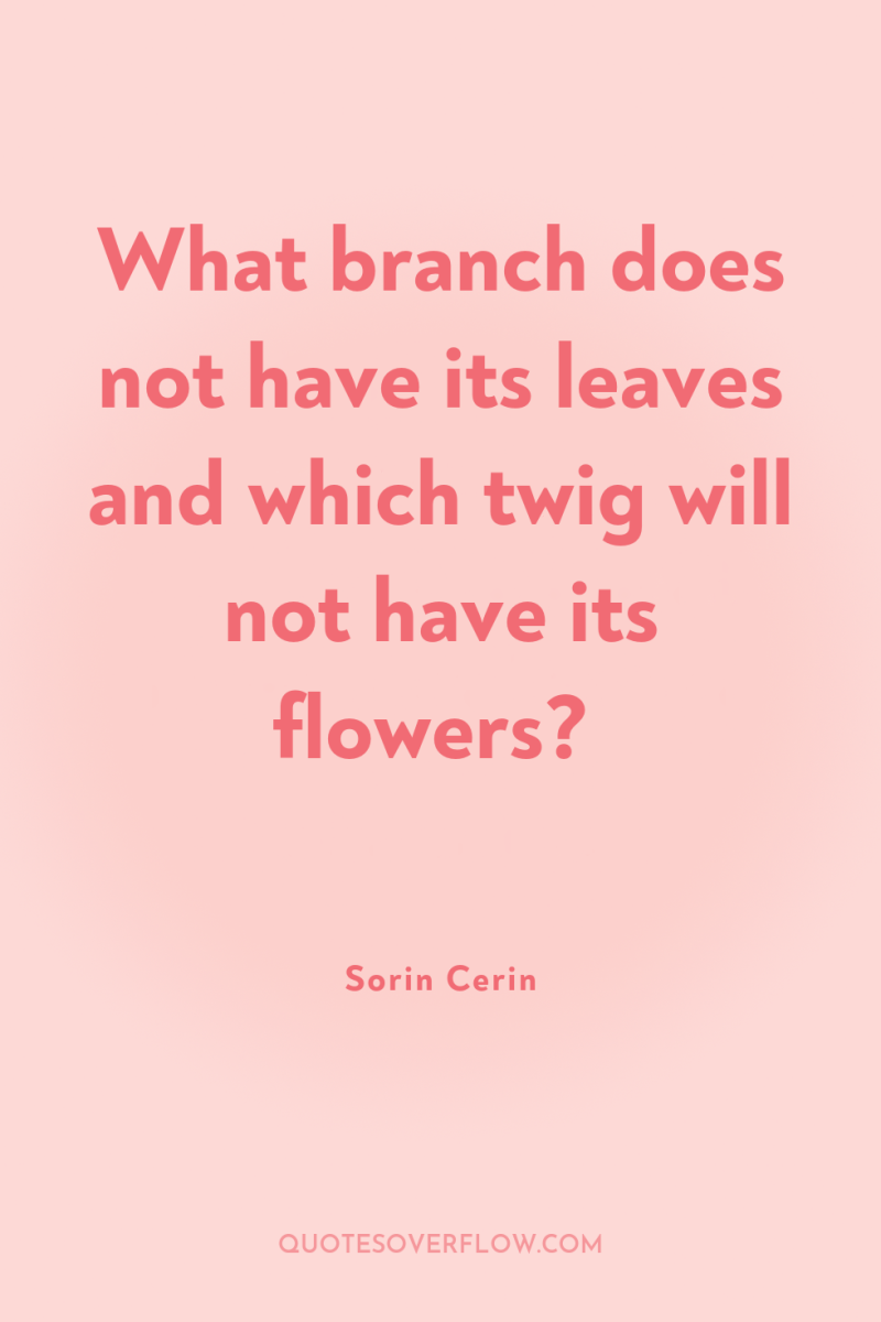 What branch does not have its leaves and which twig...