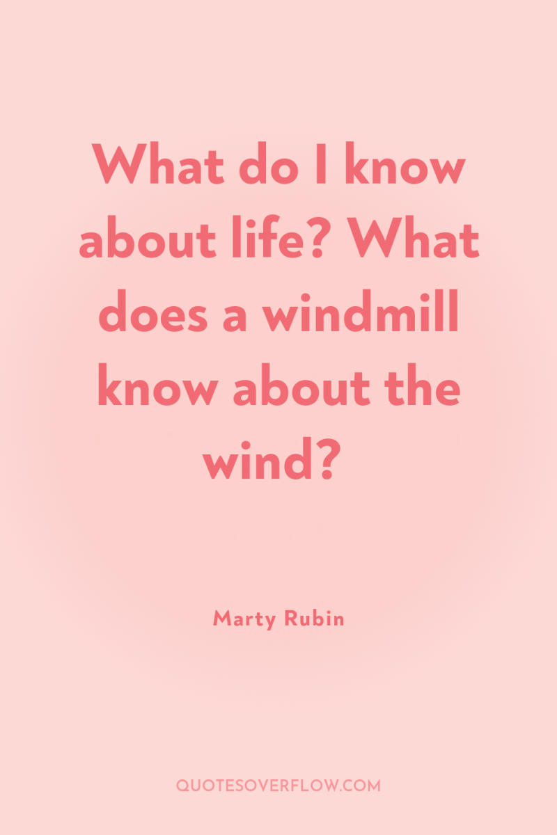 What do I know about life? What does a windmill...