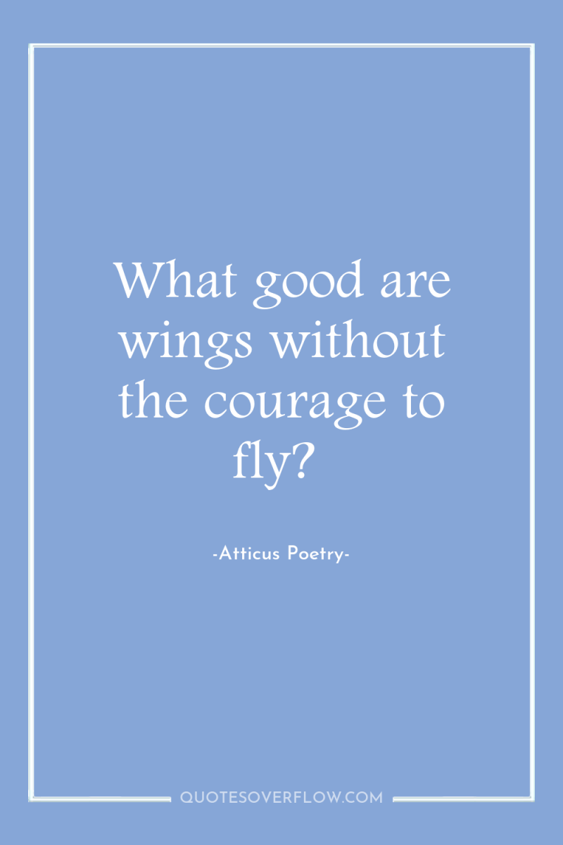 What good are wings without the courage to fly? 