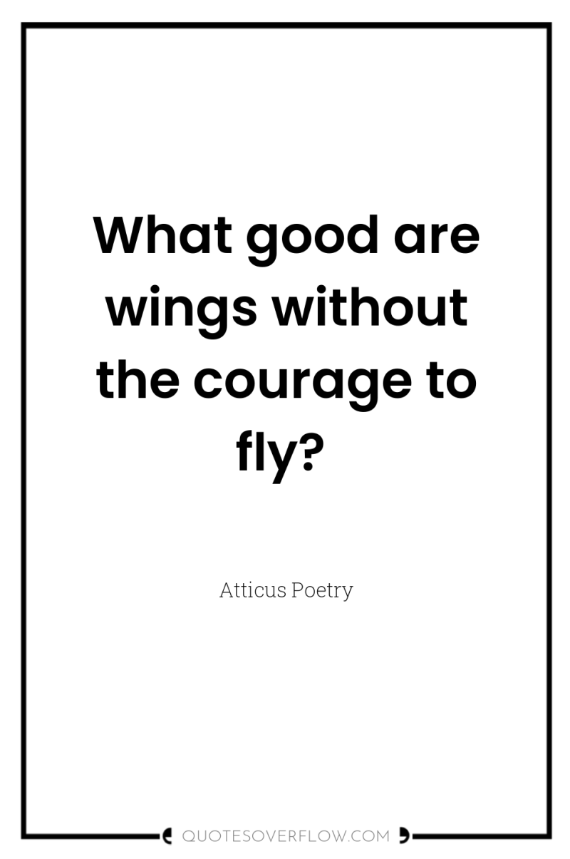 What good are wings without the courage to fly? 