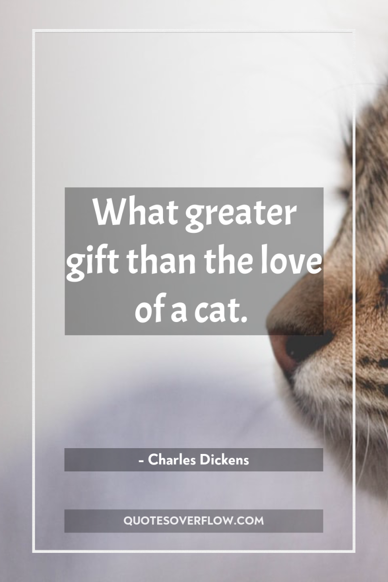 What greater gift than the love of a cat. 