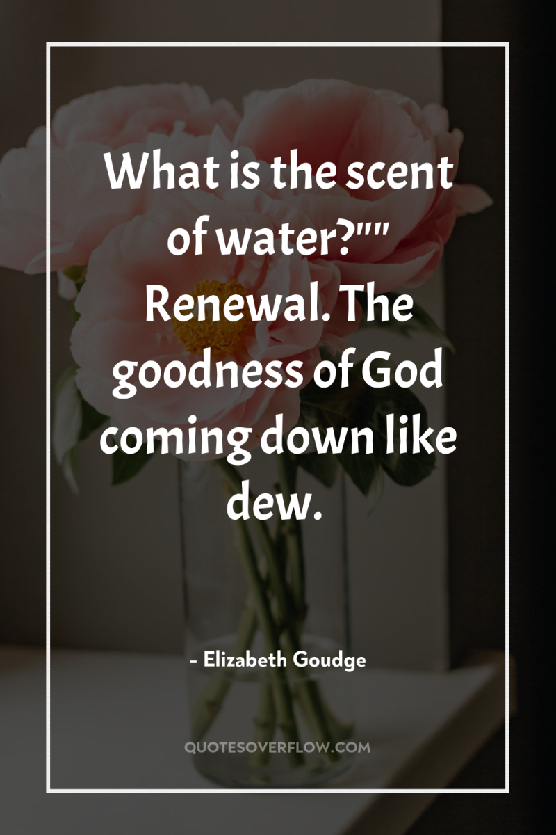 What is the scent of water?