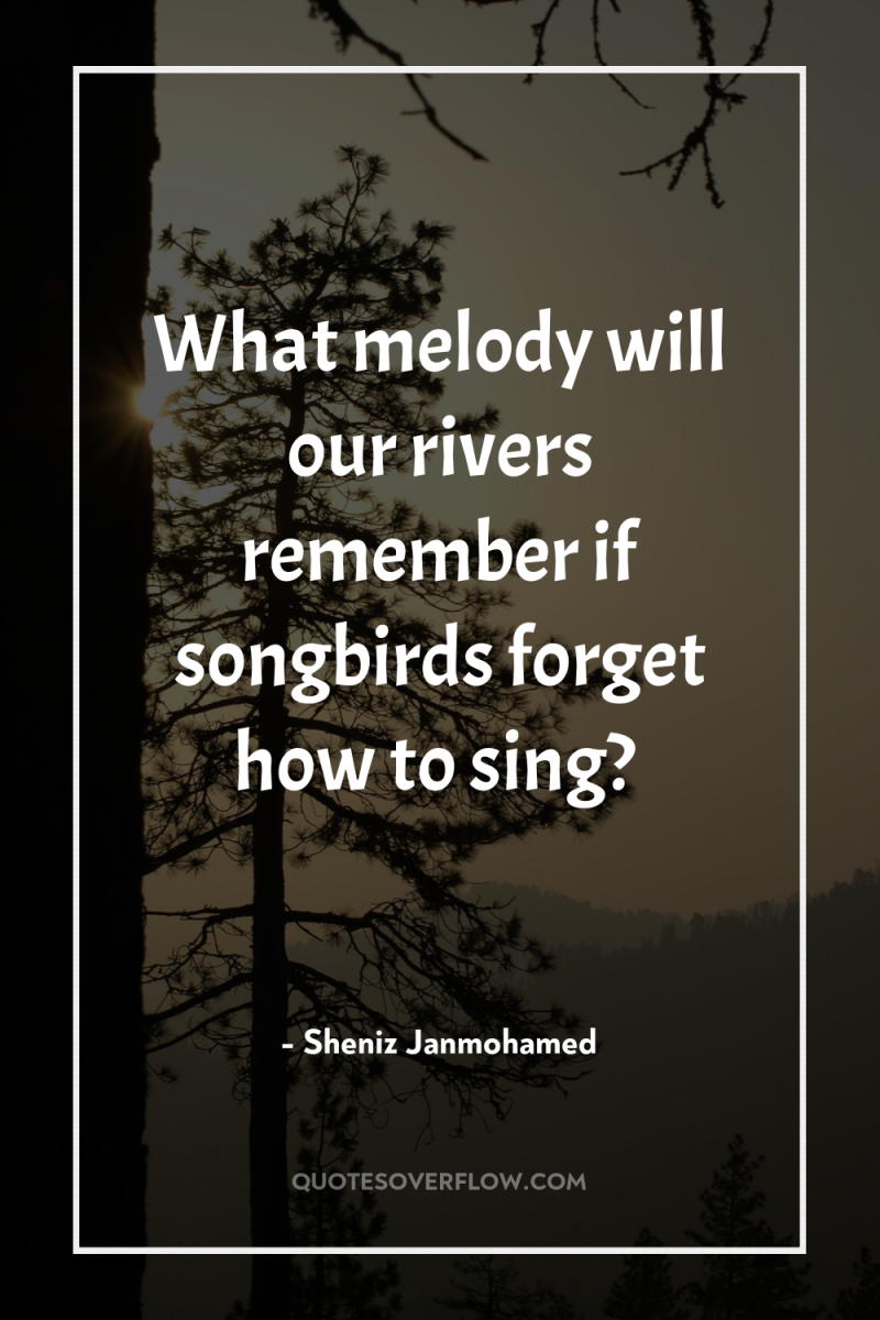 What melody will our rivers remember if songbirds forget how...
