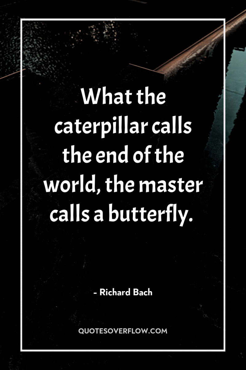 What the caterpillar calls the end of the world, the...