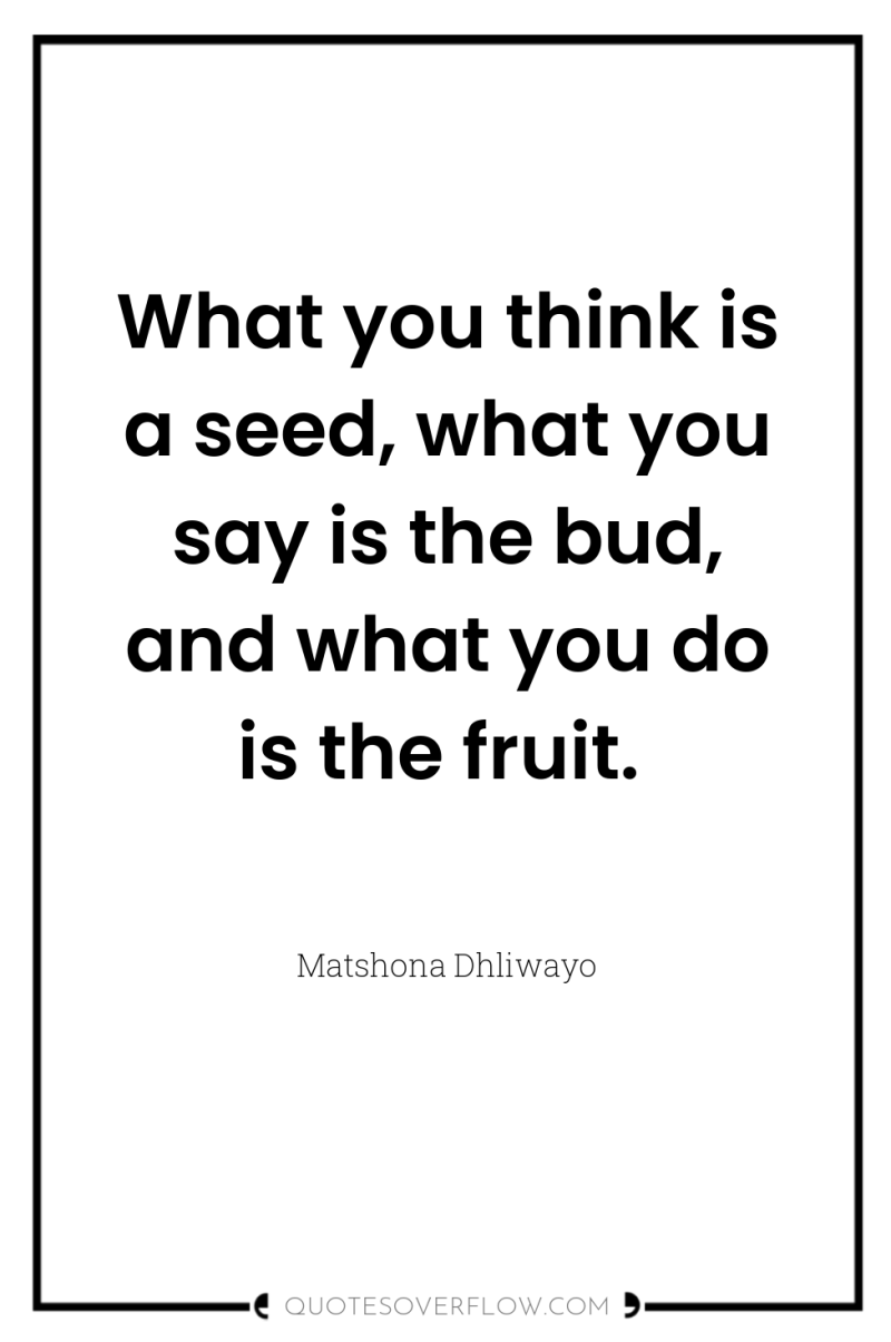 What you think is a seed, what you say is...