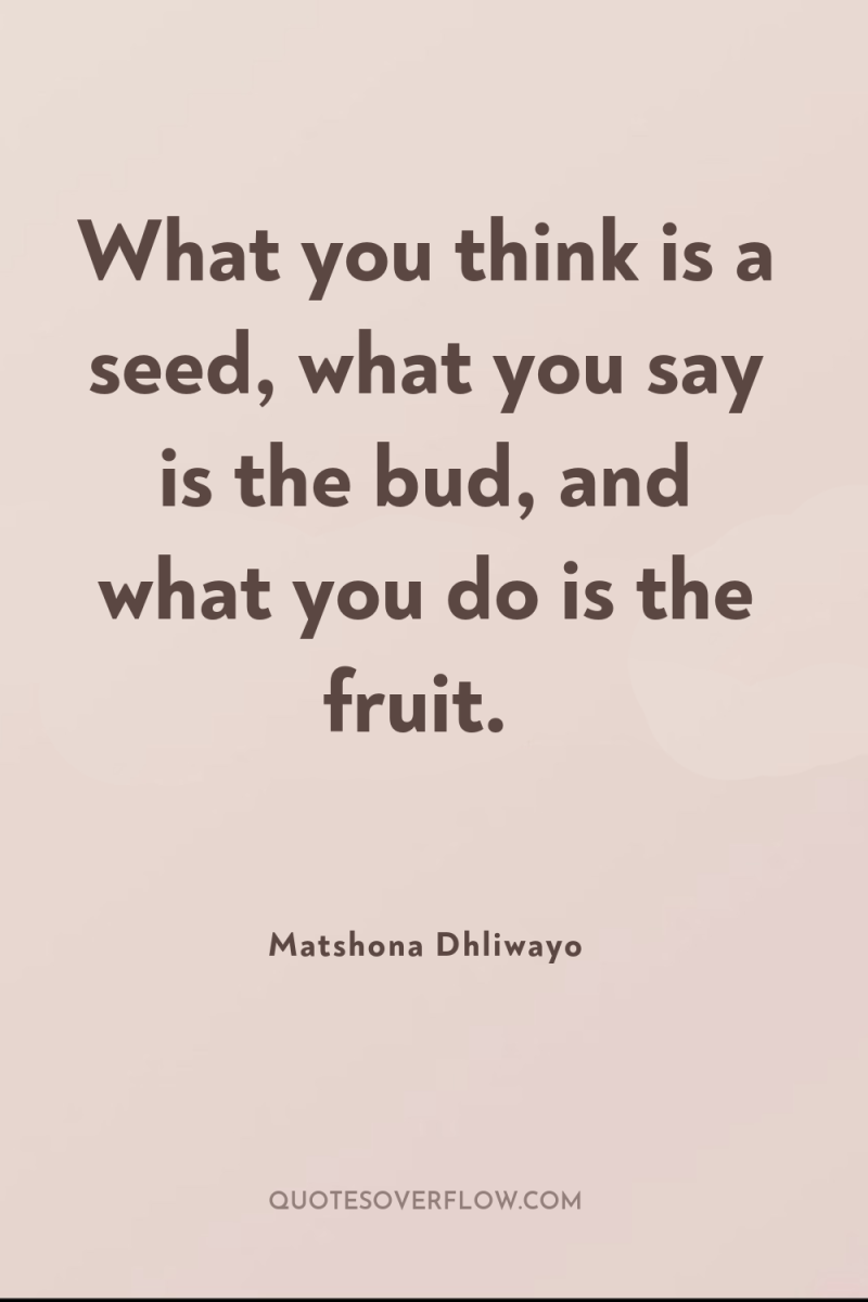What you think is a seed, what you say is...