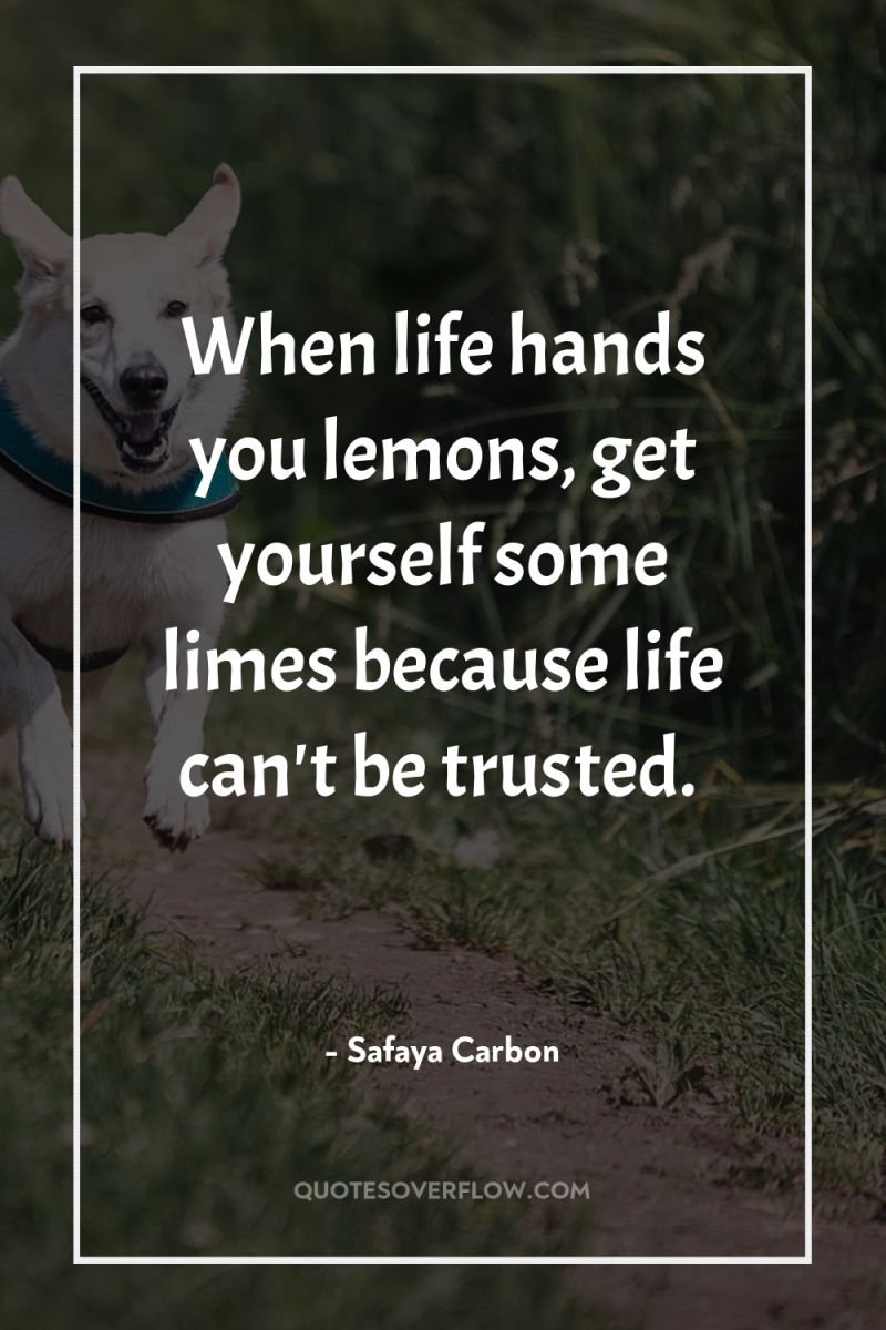 When life hands you lemons, get yourself some limes because...