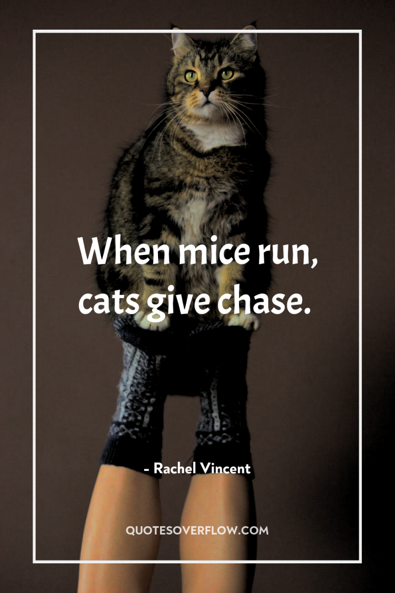 When mice run, cats give chase. 