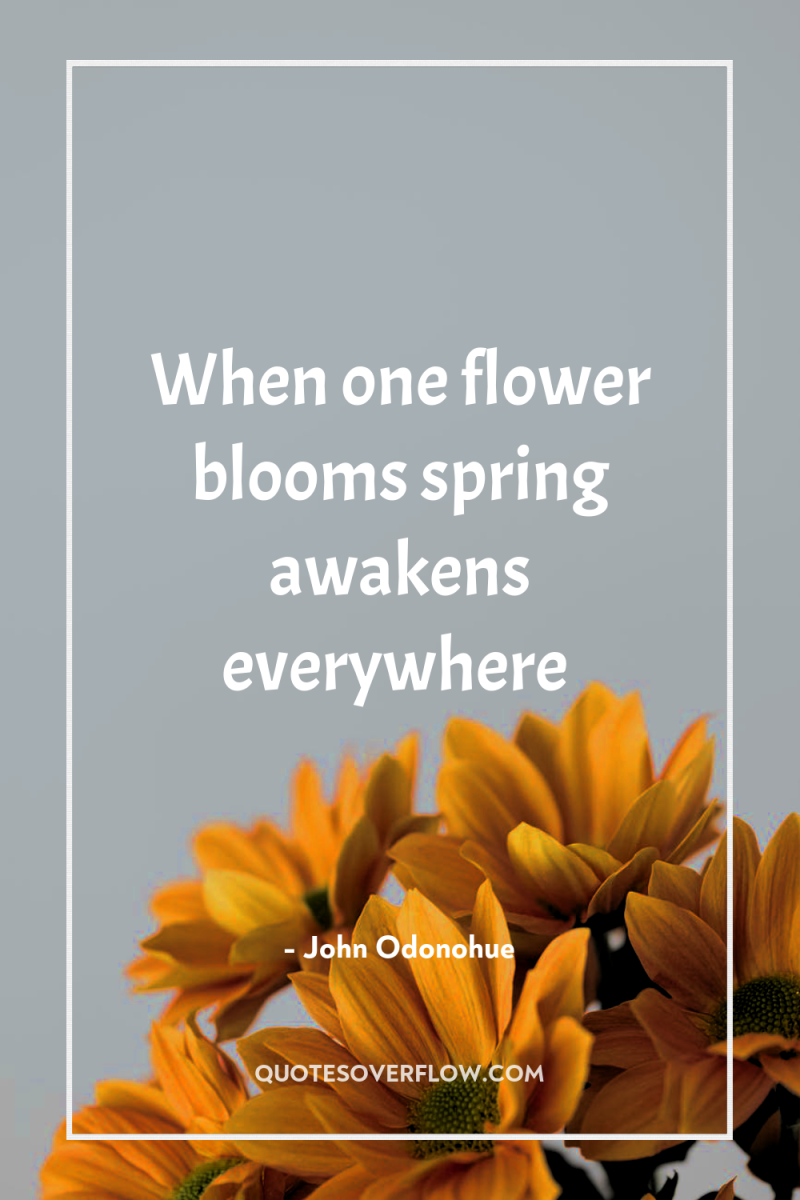 When one flower blooms spring awakens everywhere 