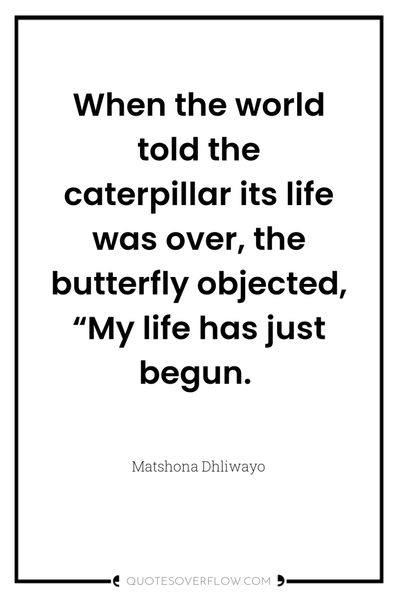 When the world told the caterpillar its life was over,...