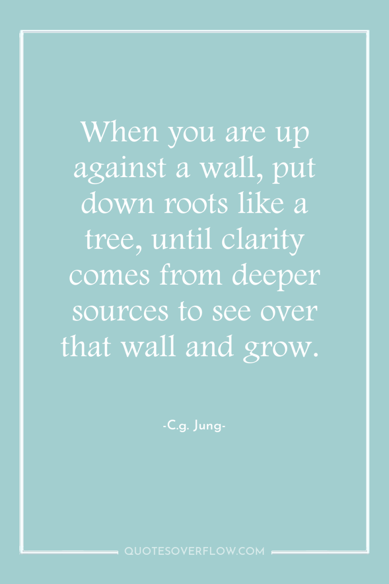 When you are up against a wall, put down roots...