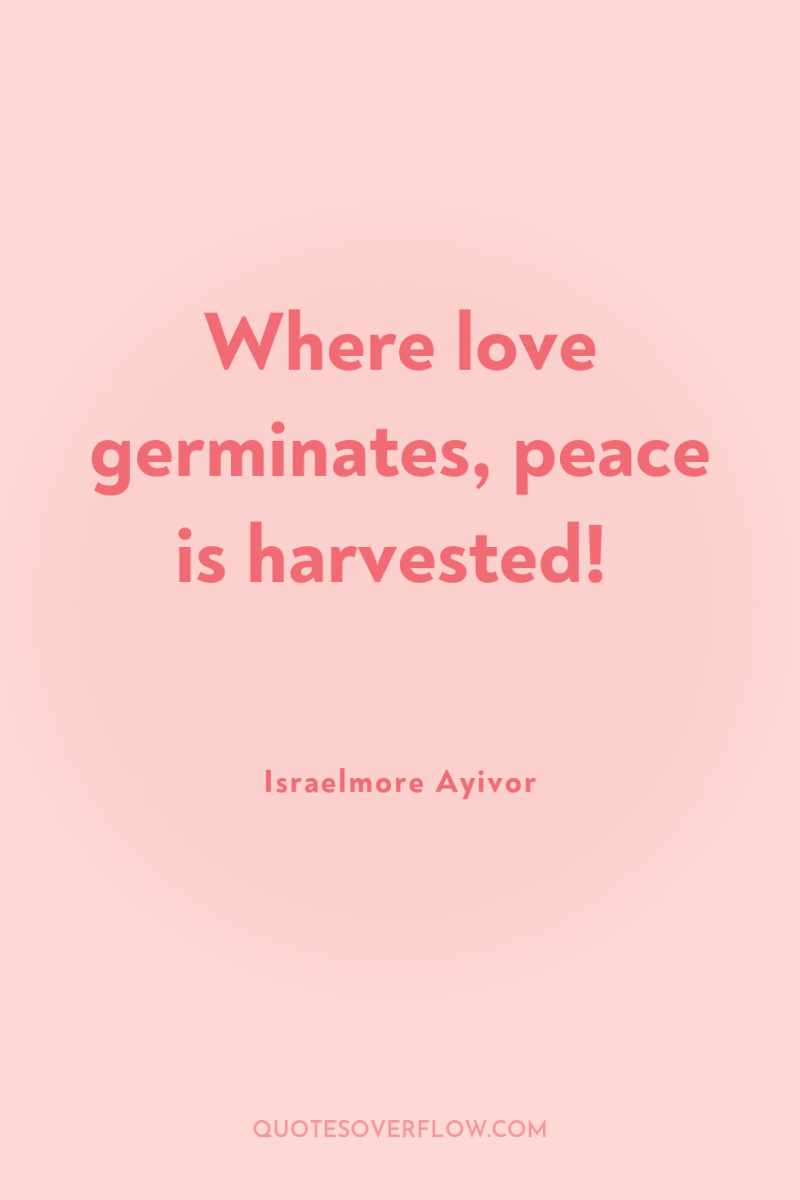 Where love germinates, peace is harvested! 