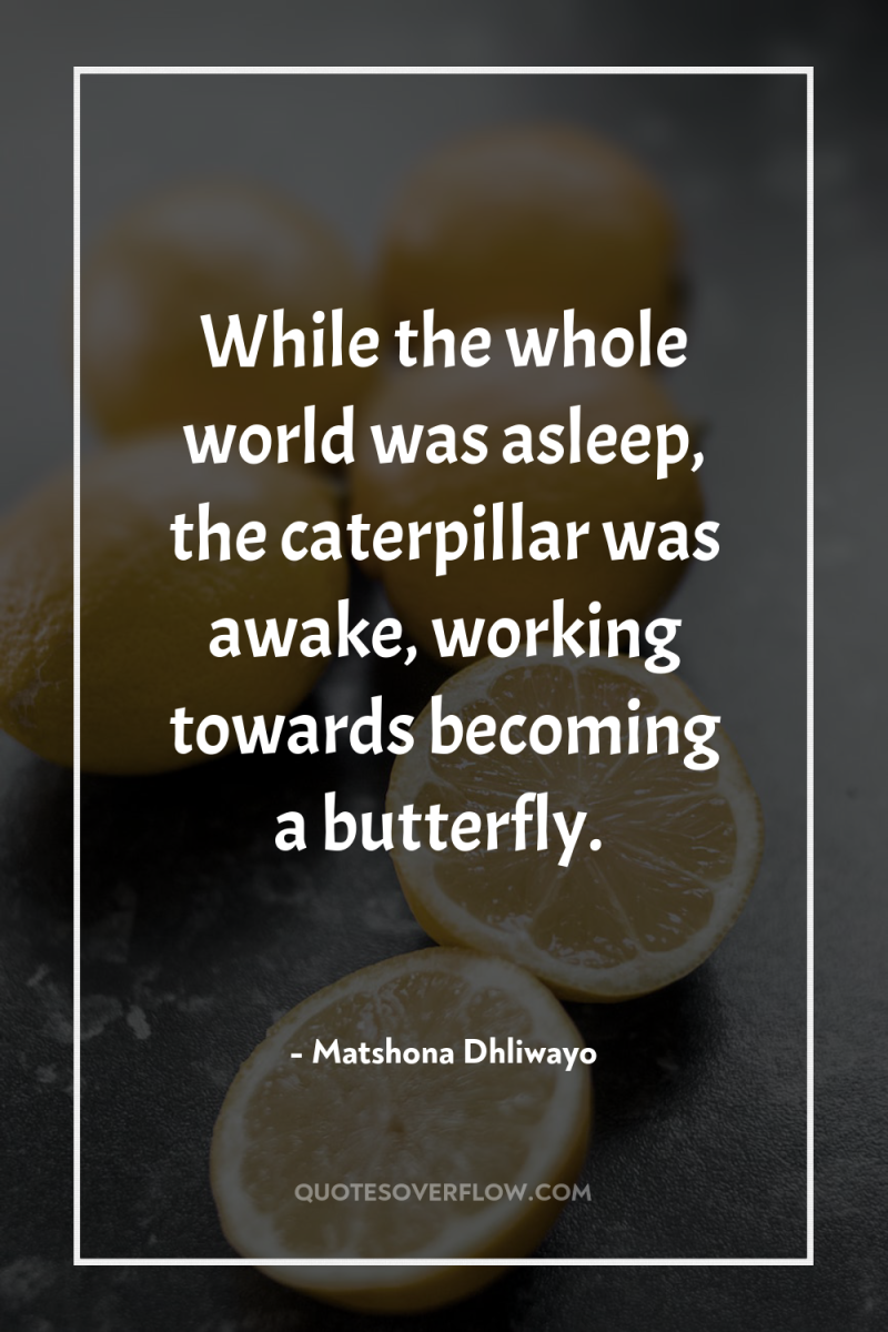 While the whole world was asleep, the caterpillar was awake,...