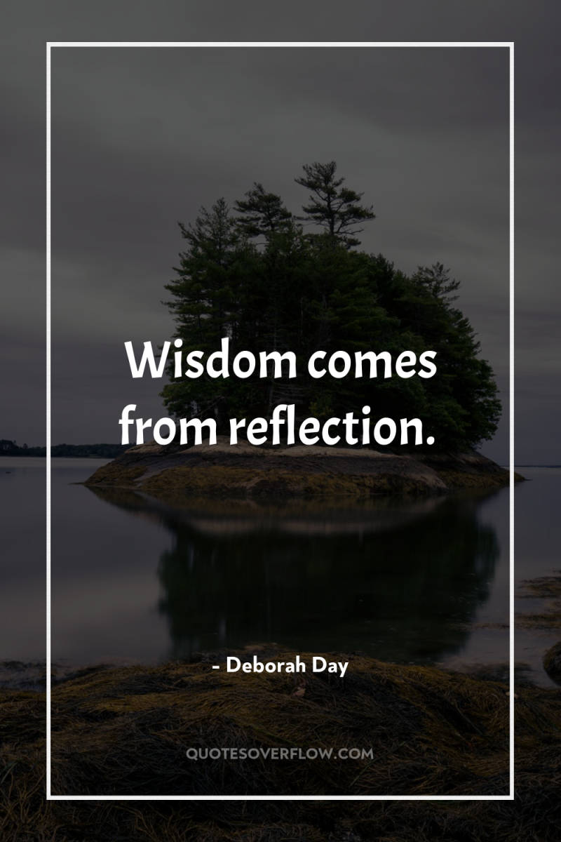 Wisdom comes from reflection. 