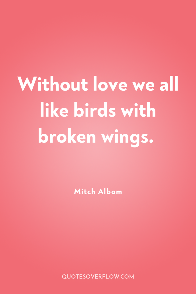 Without love we all like birds with broken wings. 