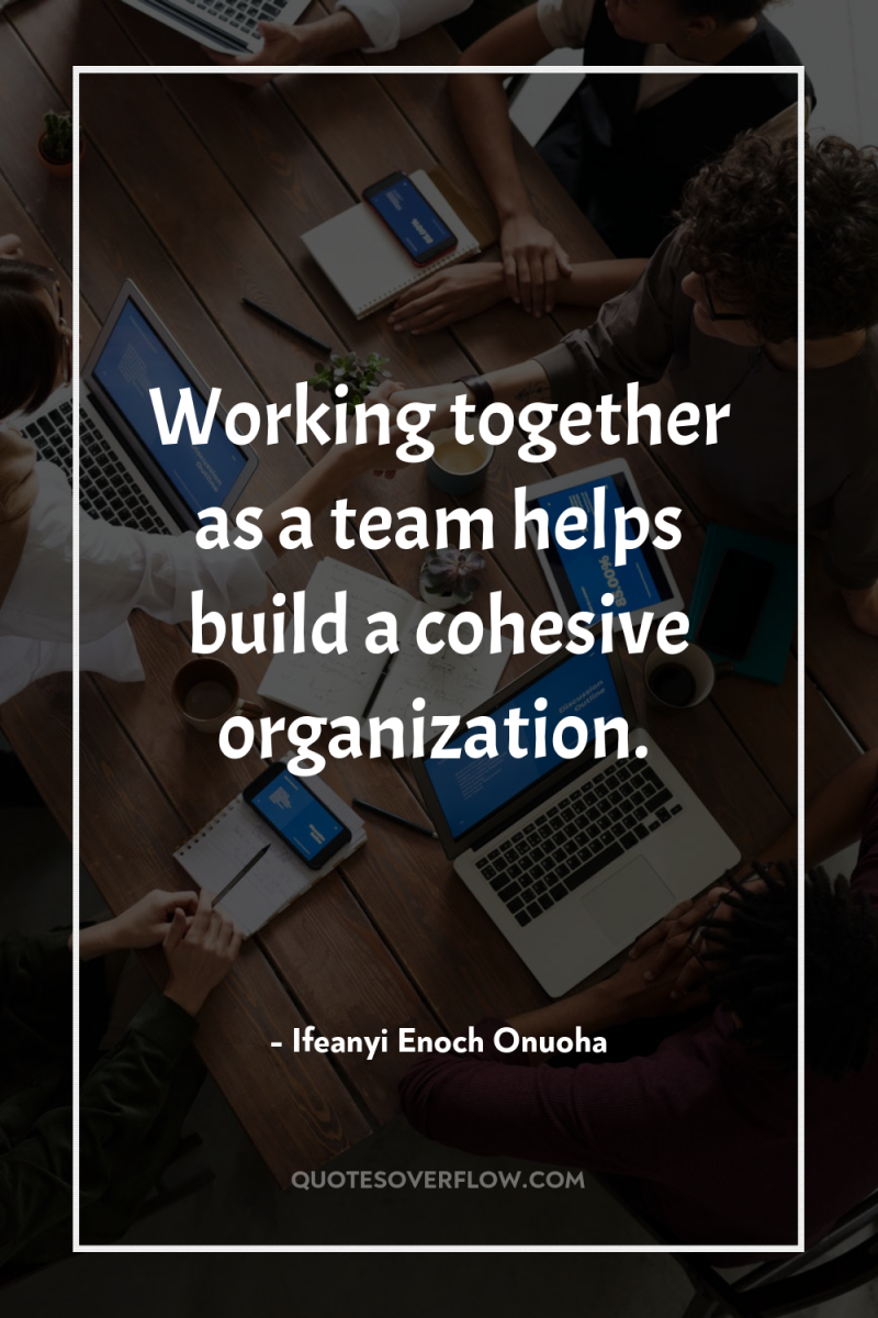Working together as a team helps build a cohesive organization. 
