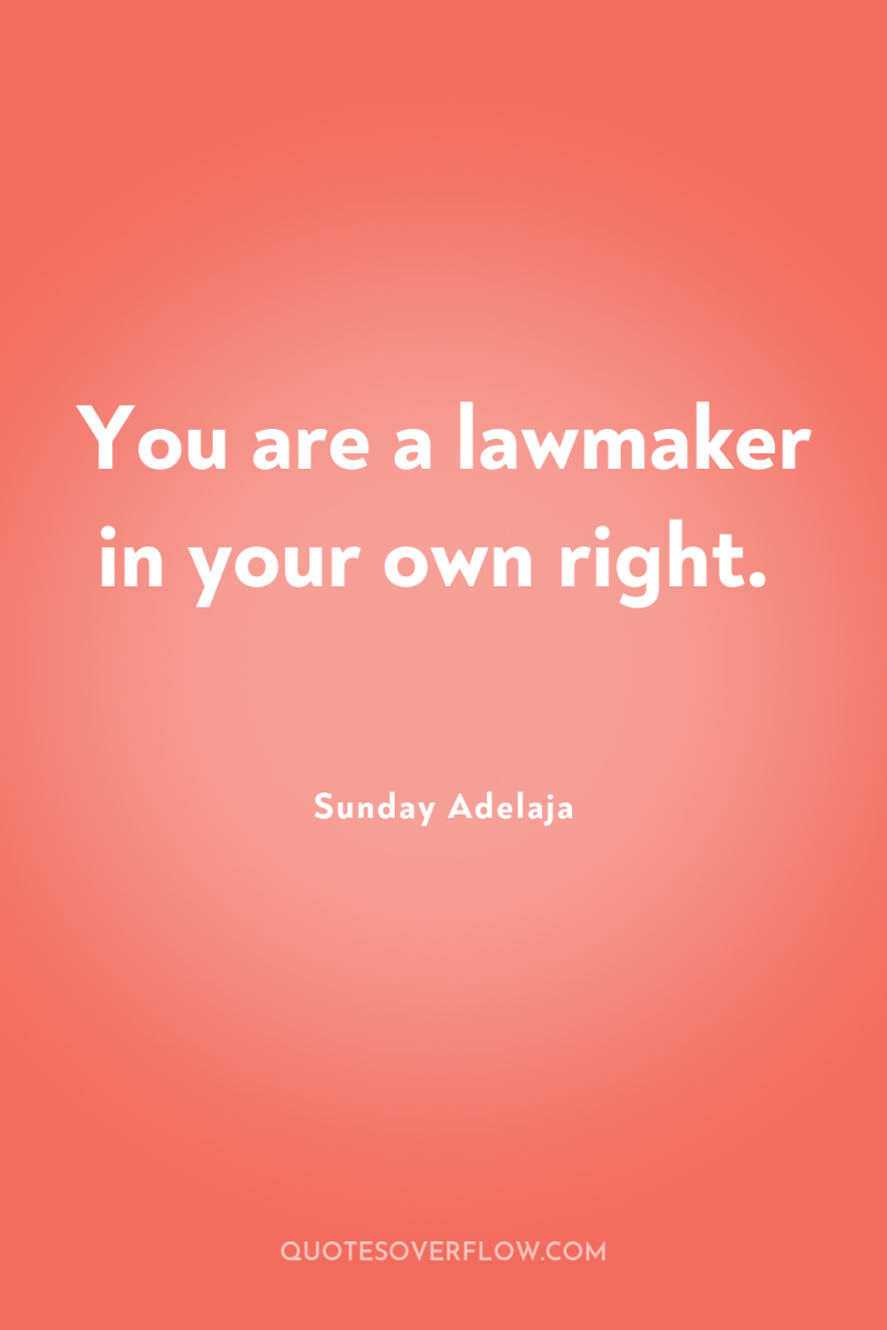 You are a lawmaker in your own right. 
