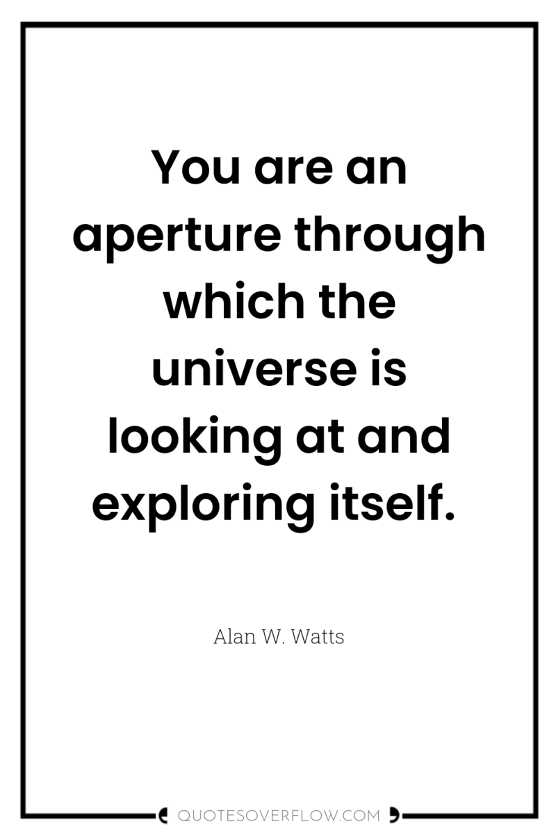 You are an aperture through which the universe is looking...