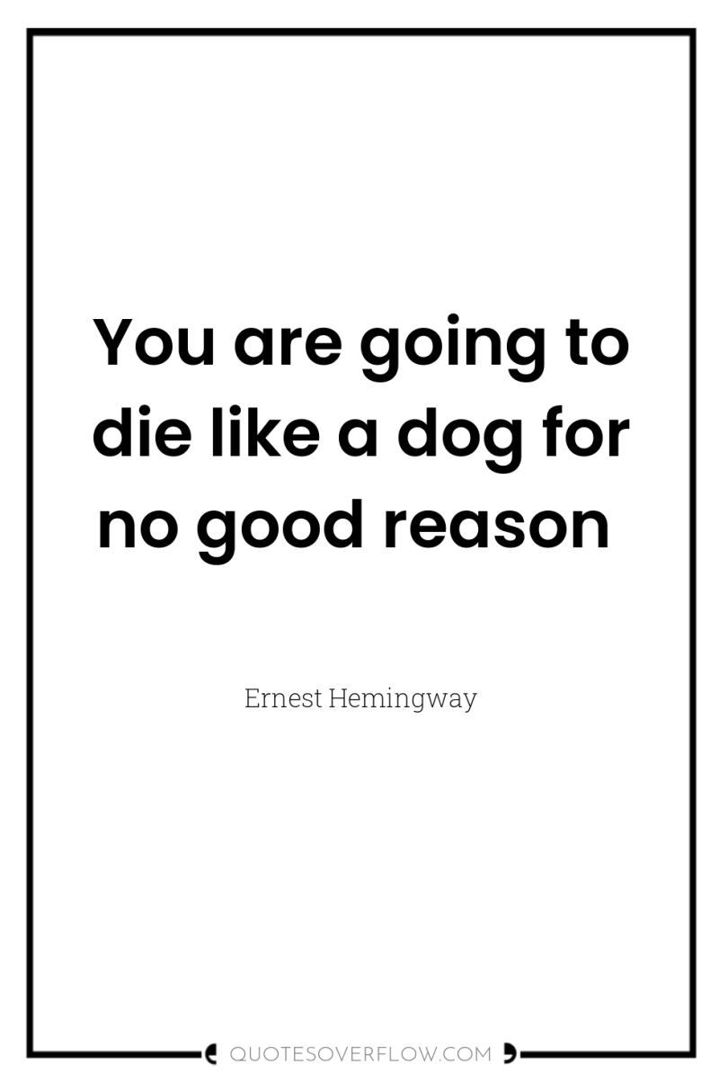 You are going to die like a dog for no...