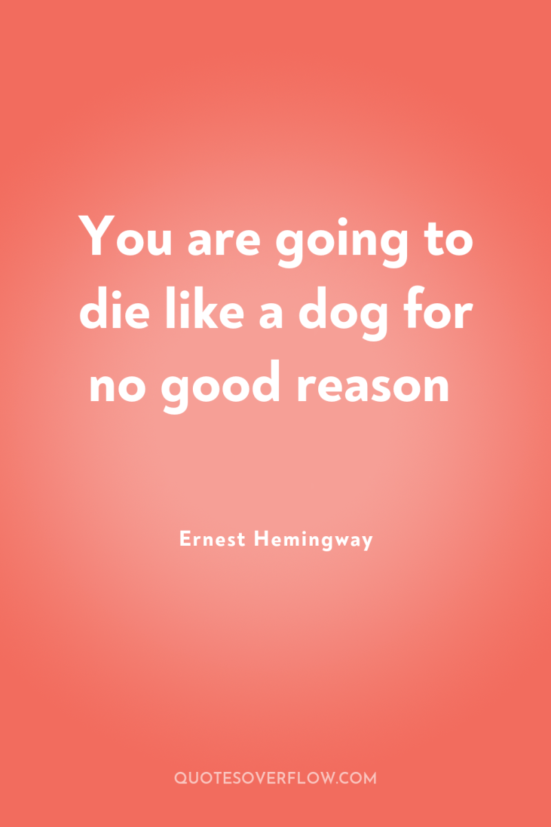 You are going to die like a dog for no...