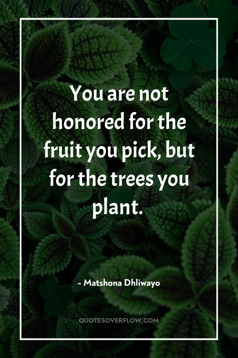 You are not honored for the fruit you pick, but...