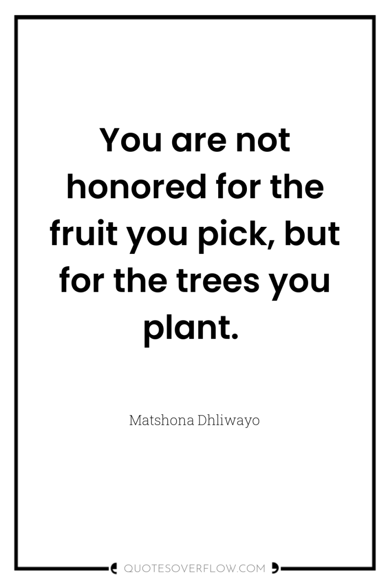 You are not honored for the fruit you pick, but...