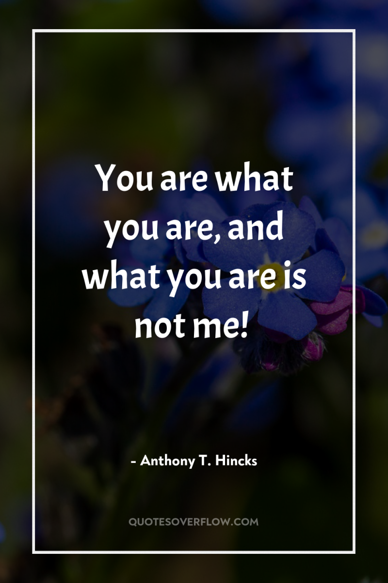 You are what you are, and what you are is...