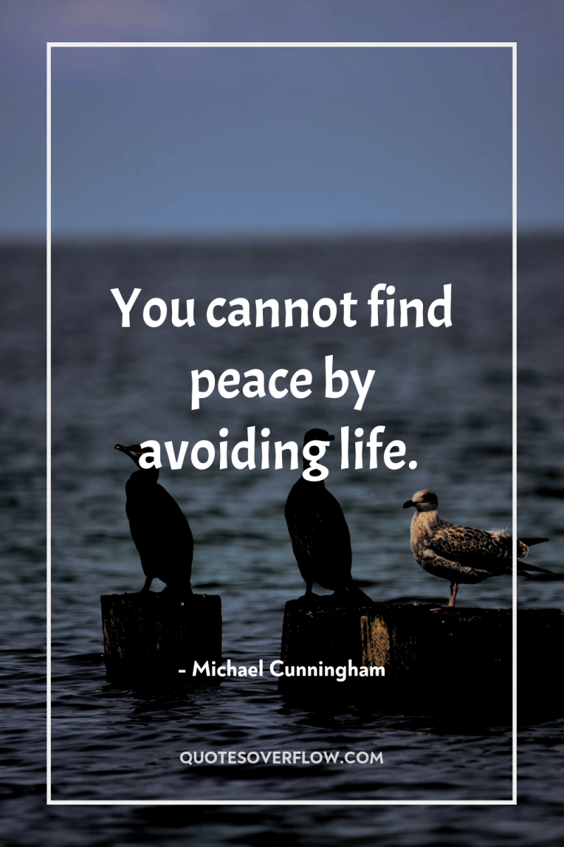 You cannot find peace by avoiding life. 