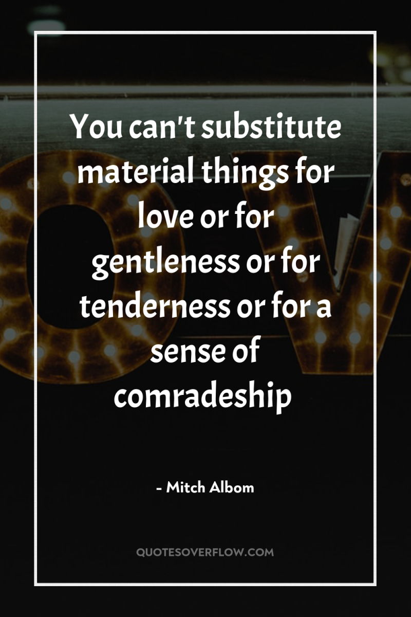 You can't substitute material things for love or for gentleness...