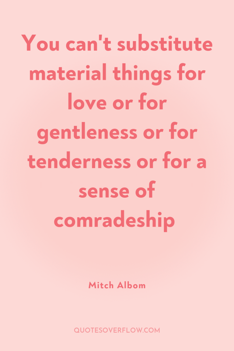 You can't substitute material things for love or for gentleness...