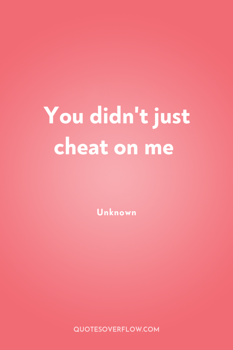 You didn't just cheat on me 