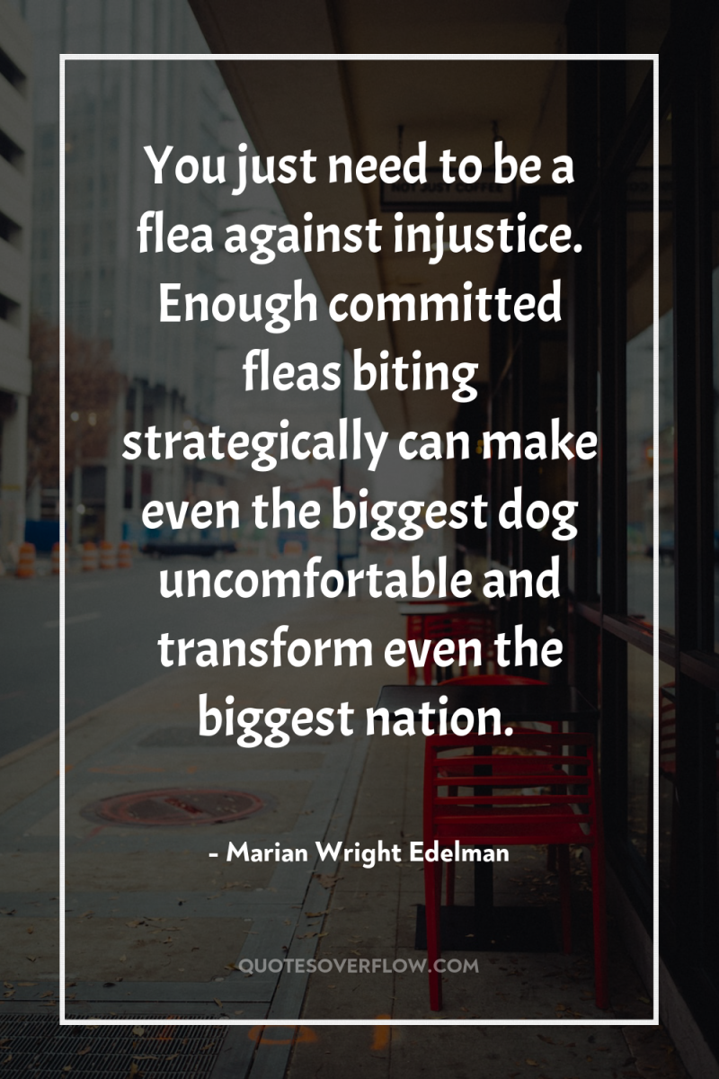You just need to be a flea against injustice. Enough...