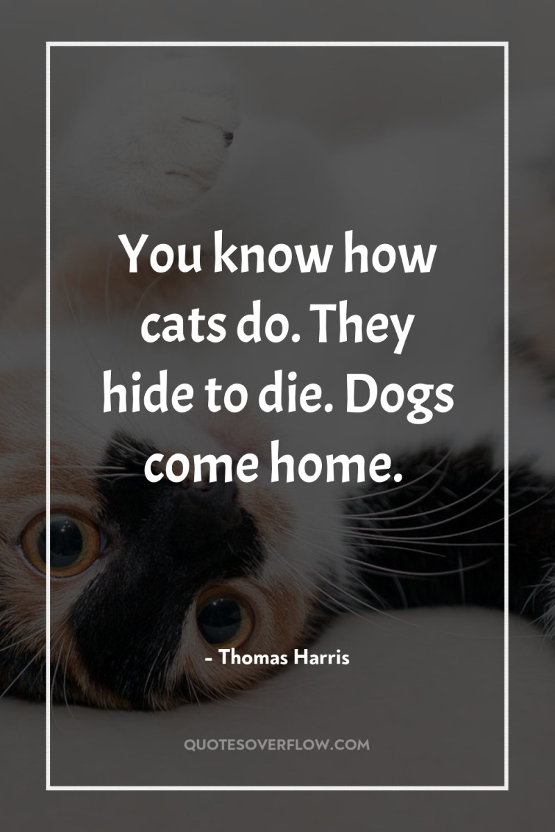 You know how cats do. They hide to die. Dogs...
