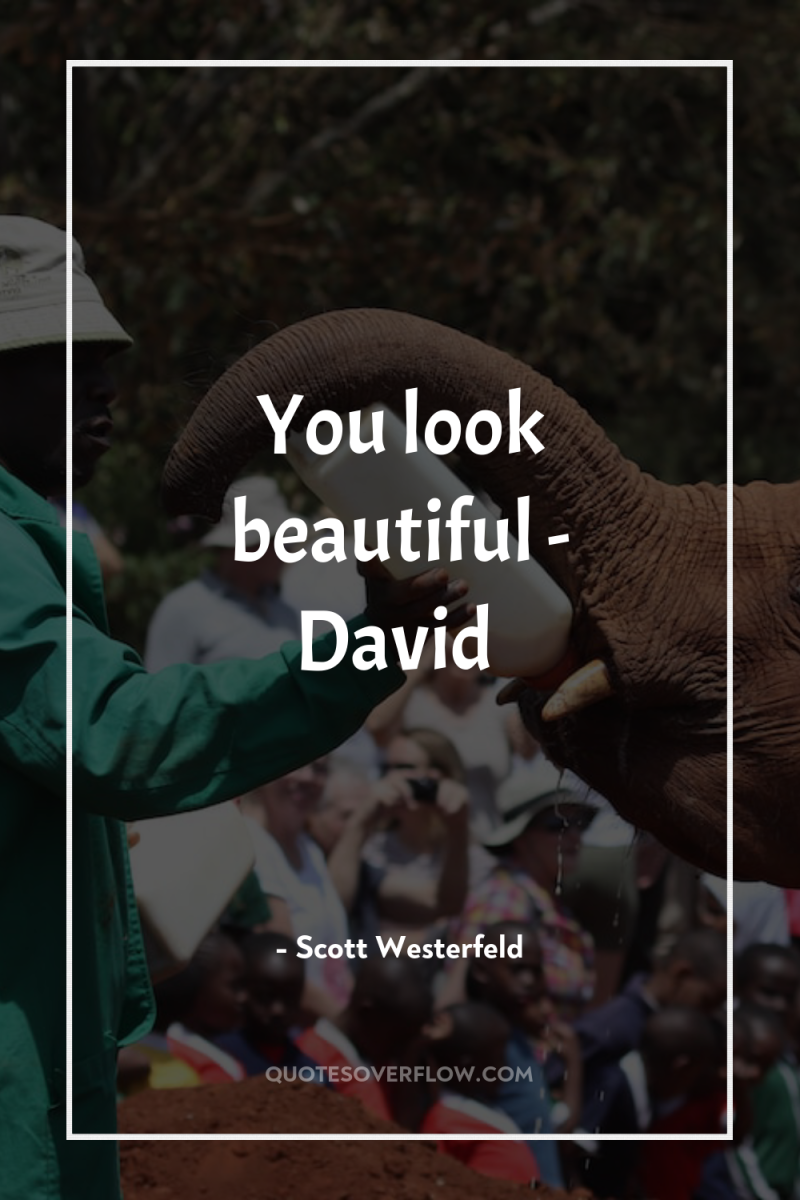 You look beautiful - David 