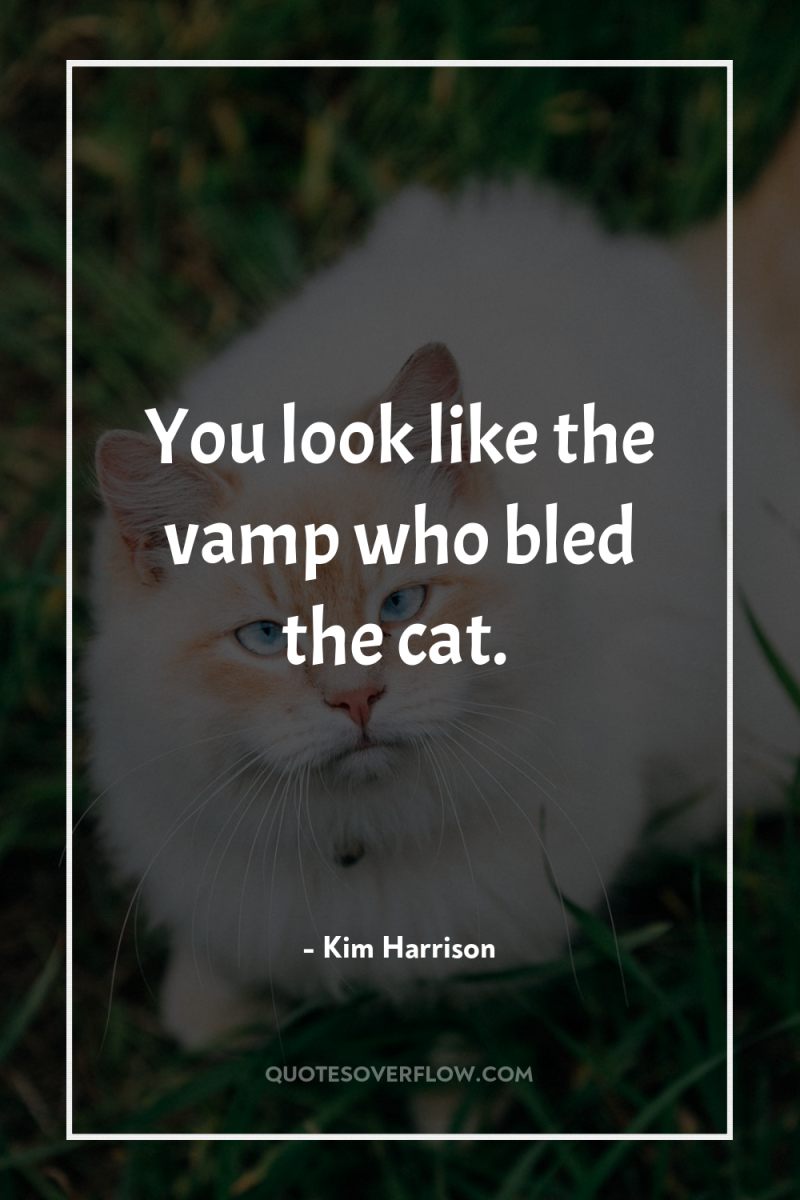 You look like the vamp who bled the cat. 