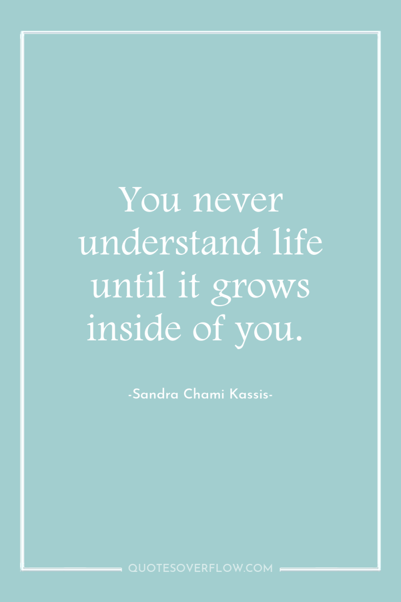 You never understand life until it grows inside of you. 