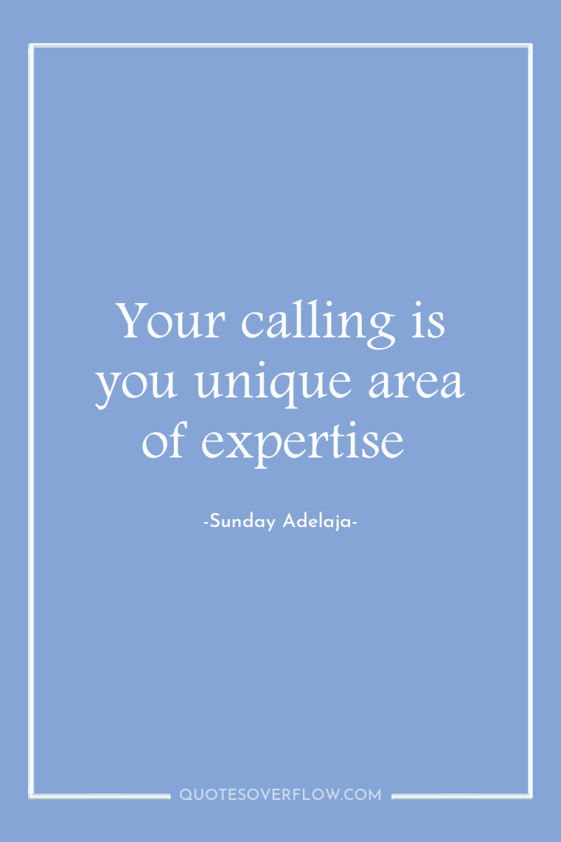 Your calling is you unique area of expertise 