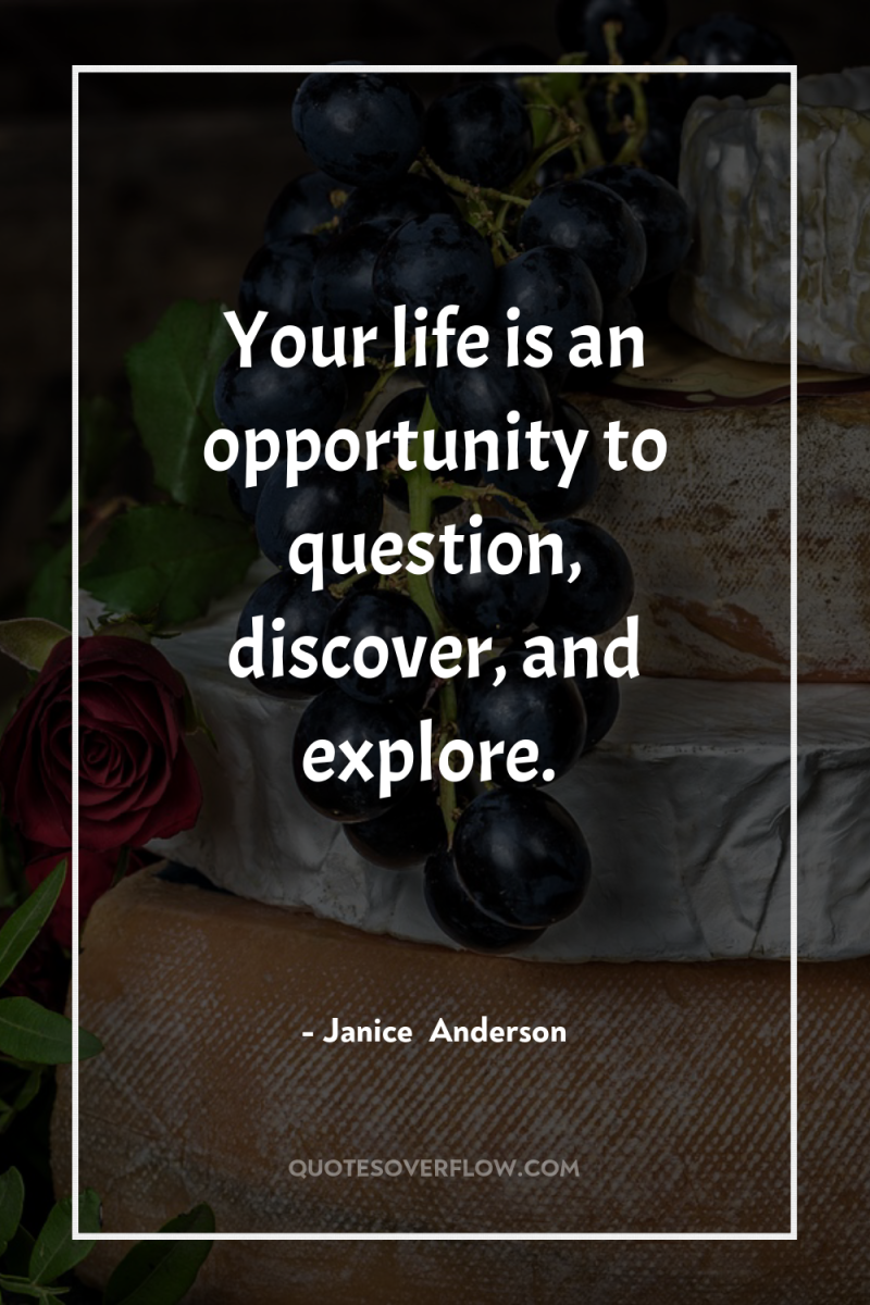 Your life is an opportunity to question, discover, and explore. 