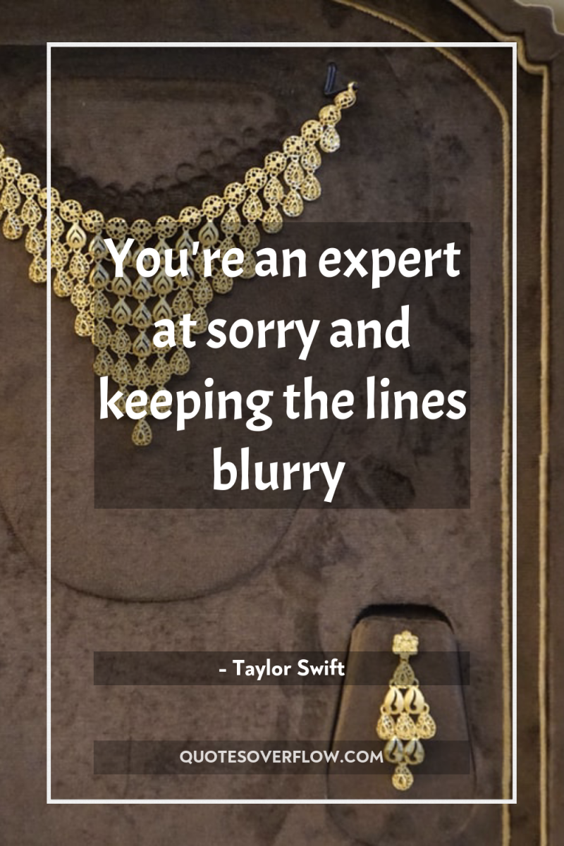 You're an expert at sorry and keeping the lines blurry 
